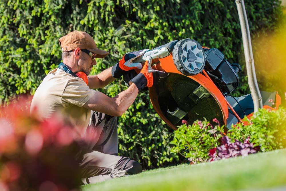 Find a local Handyman for Gardening