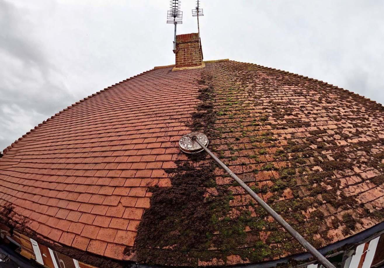 Find local roofers for Moss Removal and Roof Cleaning